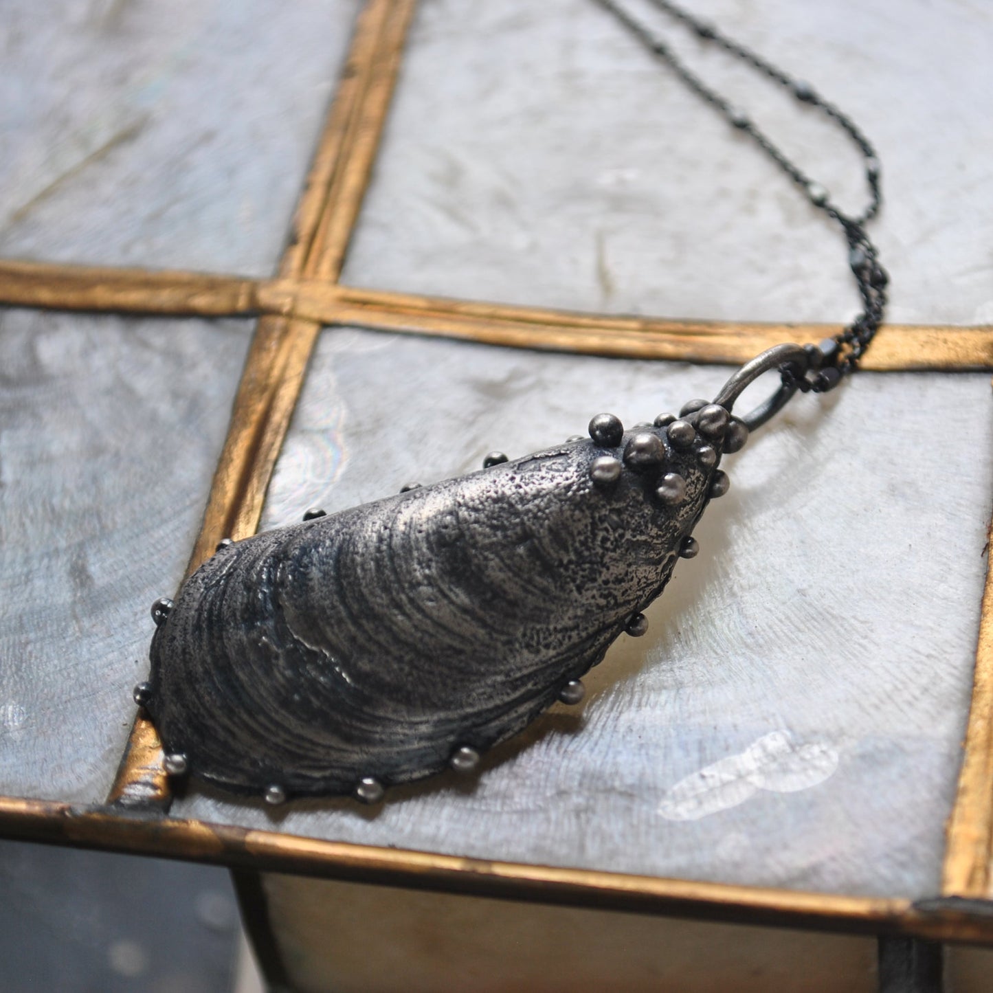 MA Mussel Shell - holding the moon, and a golden star