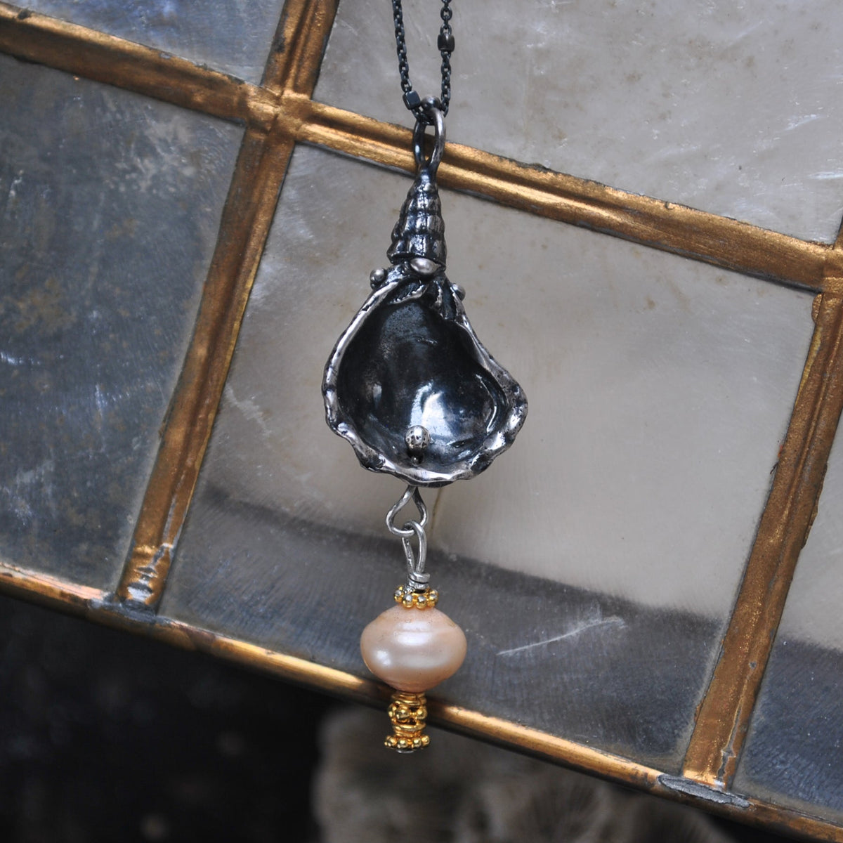 Kitten Paw Shell - Batting Its Pearl