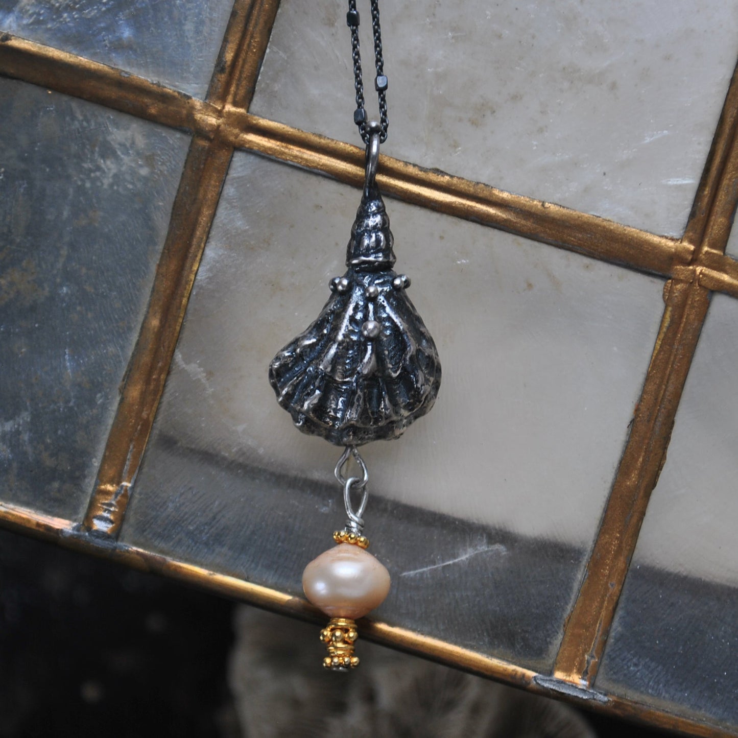 Kitten Paw Shell - Batting Its Pearl