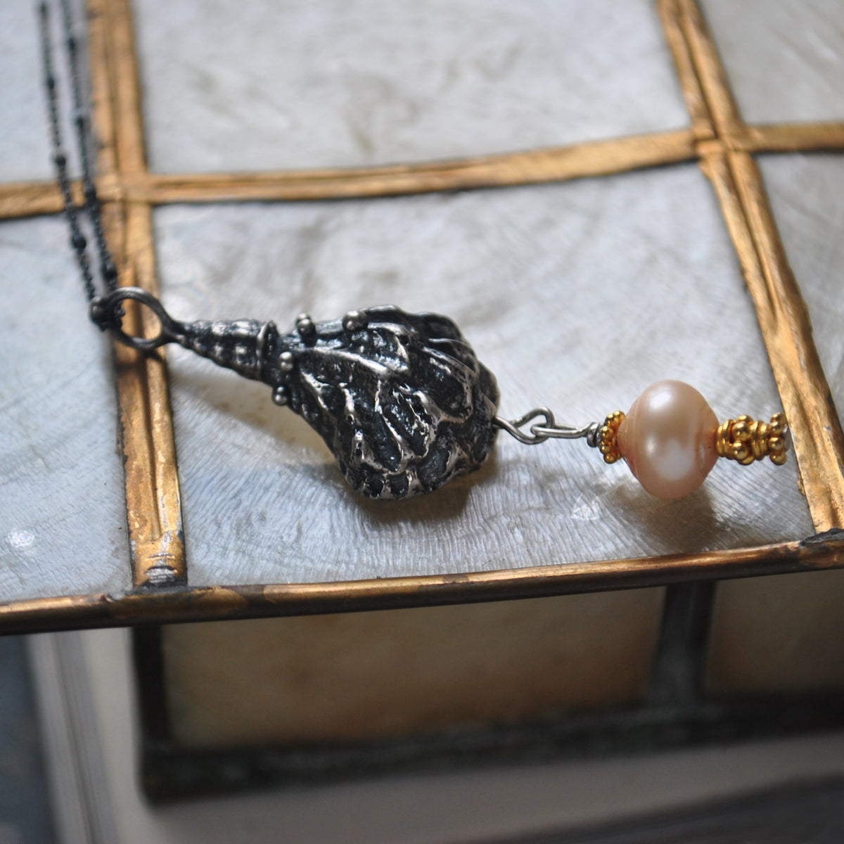 Kitten Paw Shell - Batting Its Pearl
