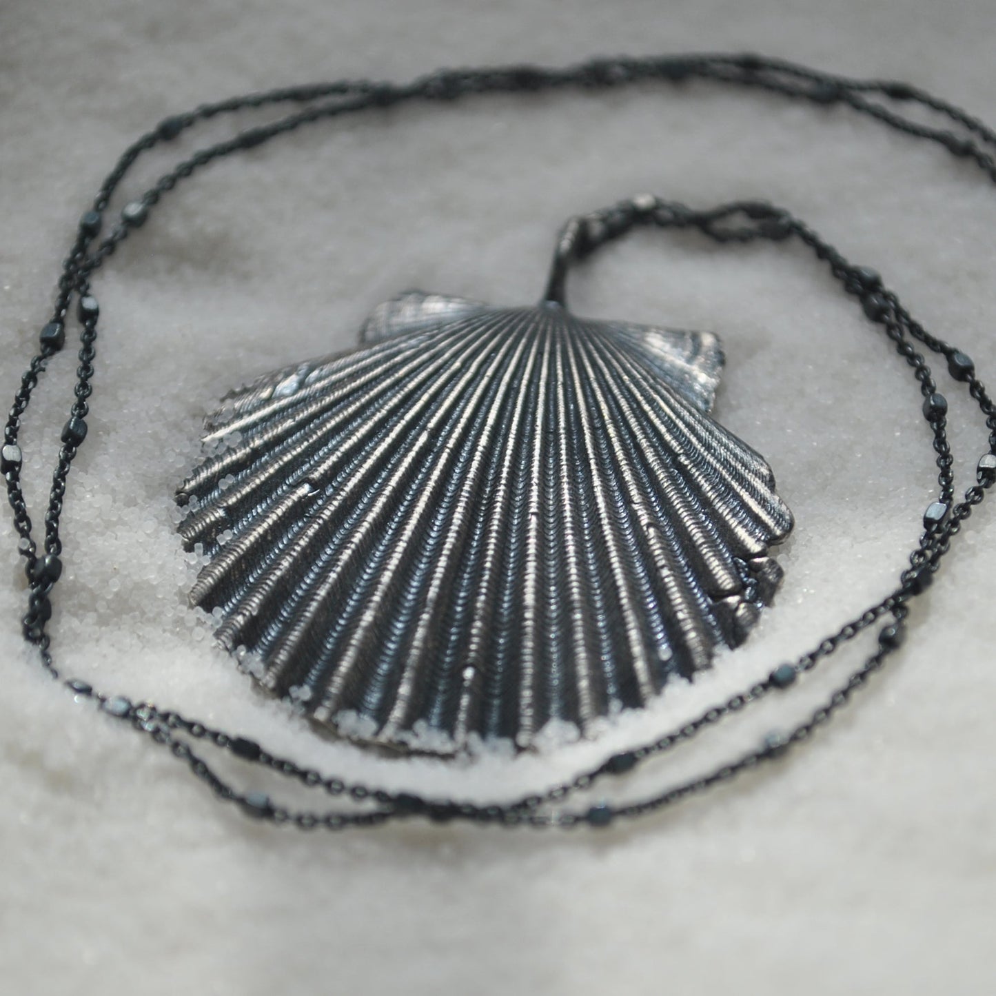 Scallop Shell, chain included