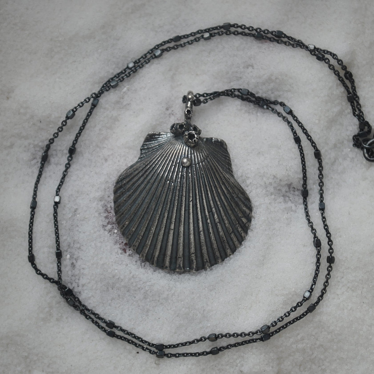 OOAK, Scallop Shell - with Barnacles