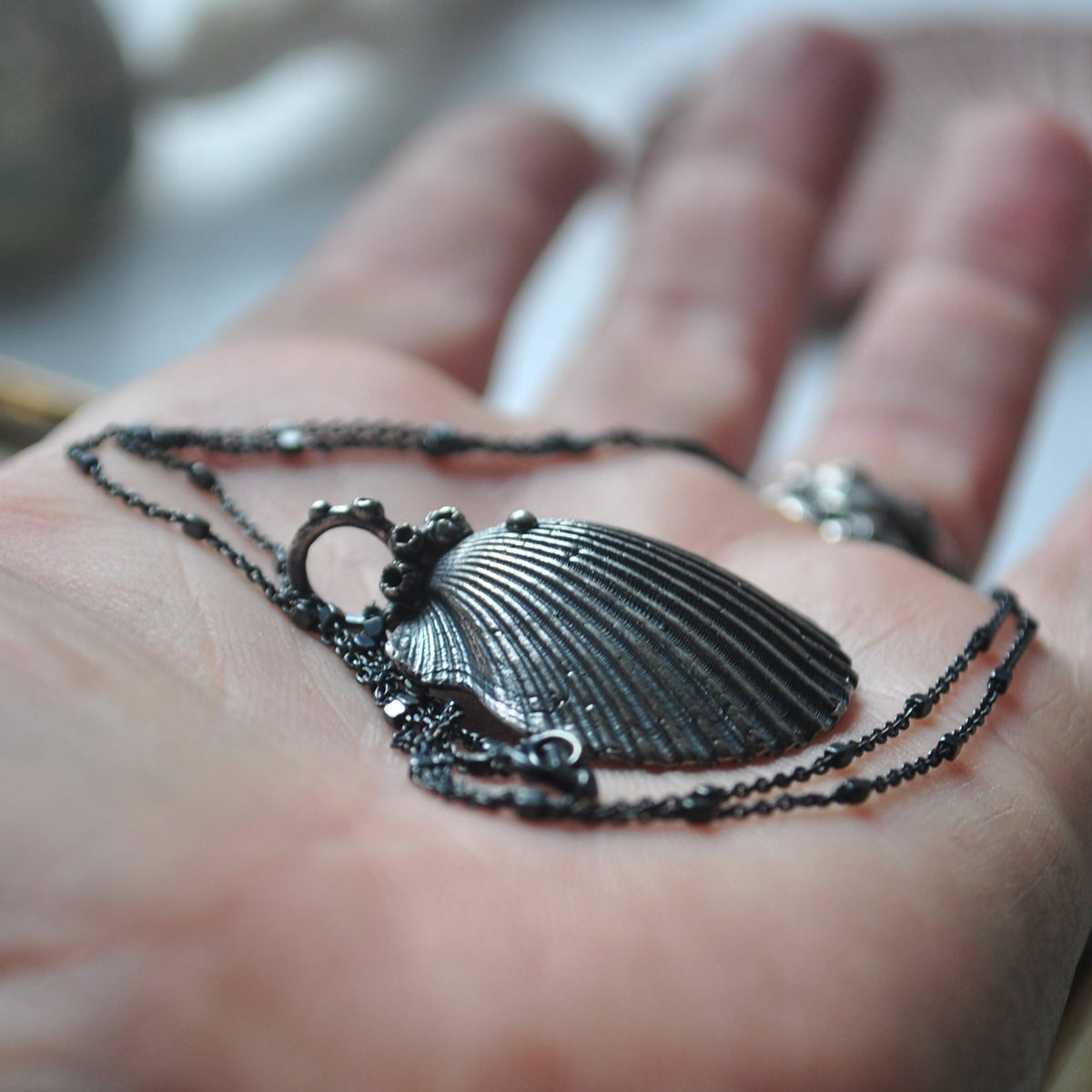 OOAK, Scallop Shell - with Barnacles