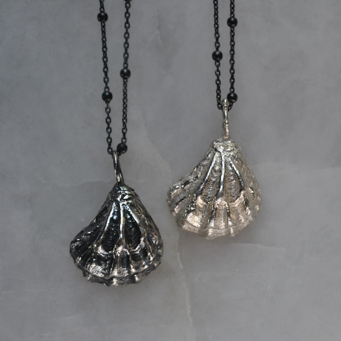 PRE-ORDER Kitten Paw Shell Pendants - WITH chain