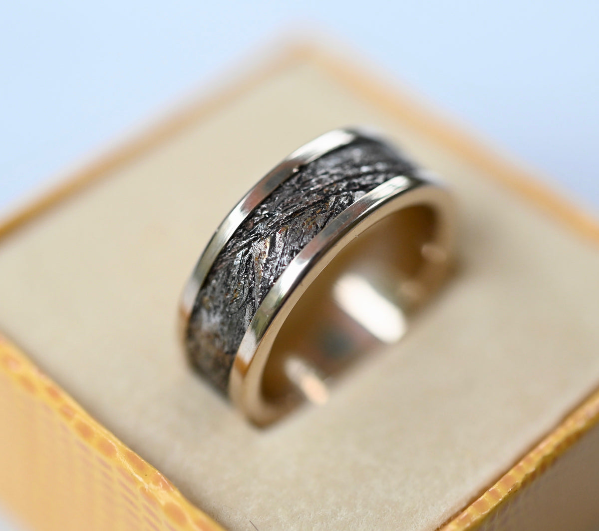 Meteorite & 14k White Gold Ring - Made To Order