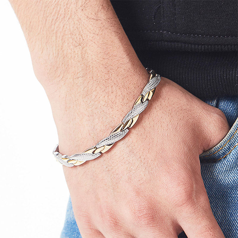 Dragon Scale Germanium Titanium Magnetic Bracelet