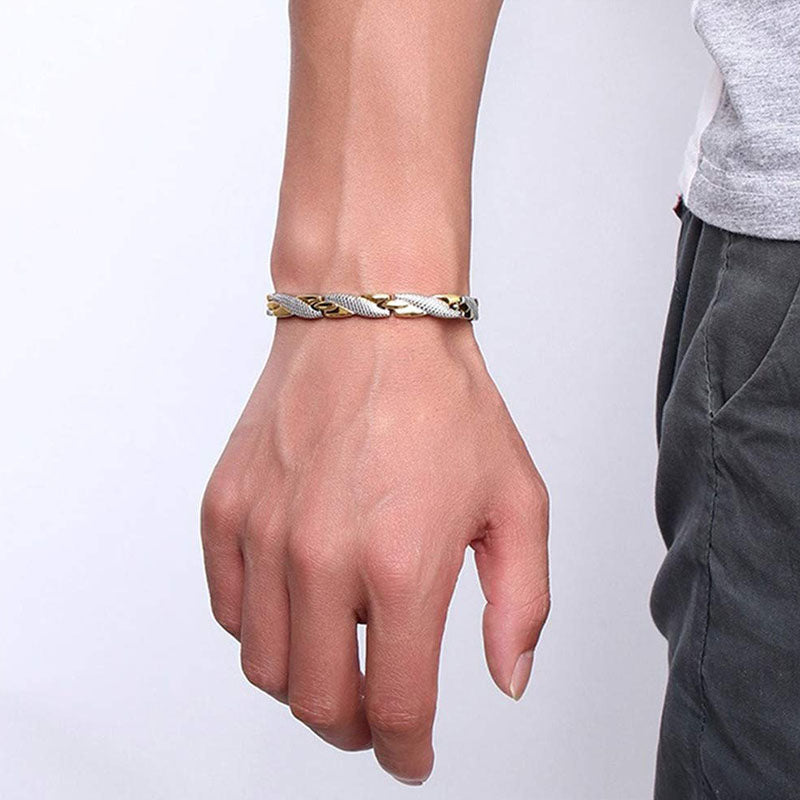 Dragon Scale Germanium Titanium Magnetic Bracelet