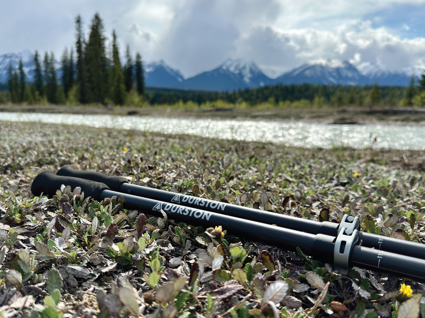 Iceline Trekking Poles