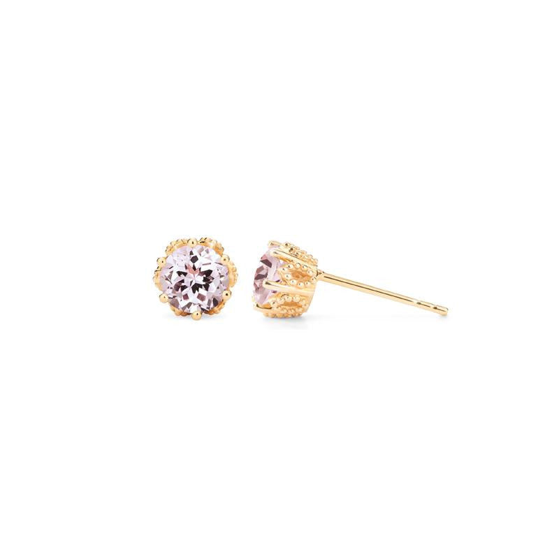 [Eden] Petite Floral Earrings in Morganite