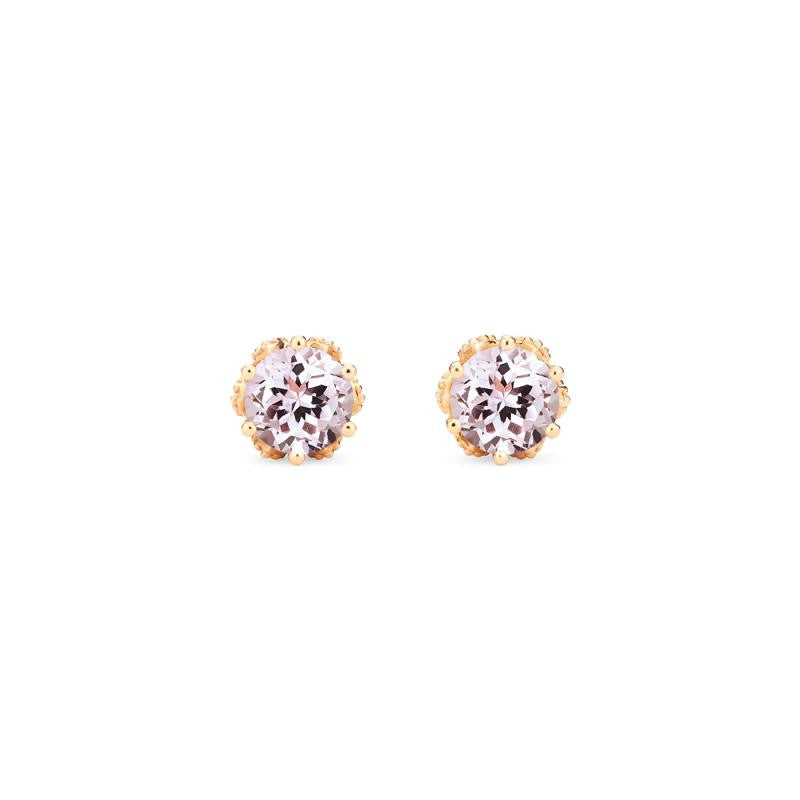 [Eden] Petite Floral Earrings in Morganite