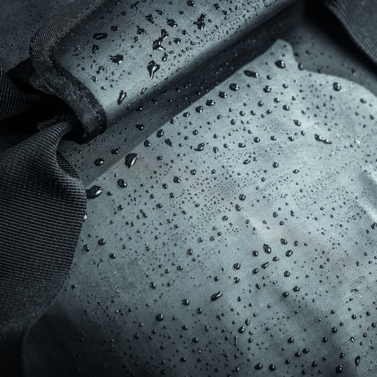 Hyllus Duffel