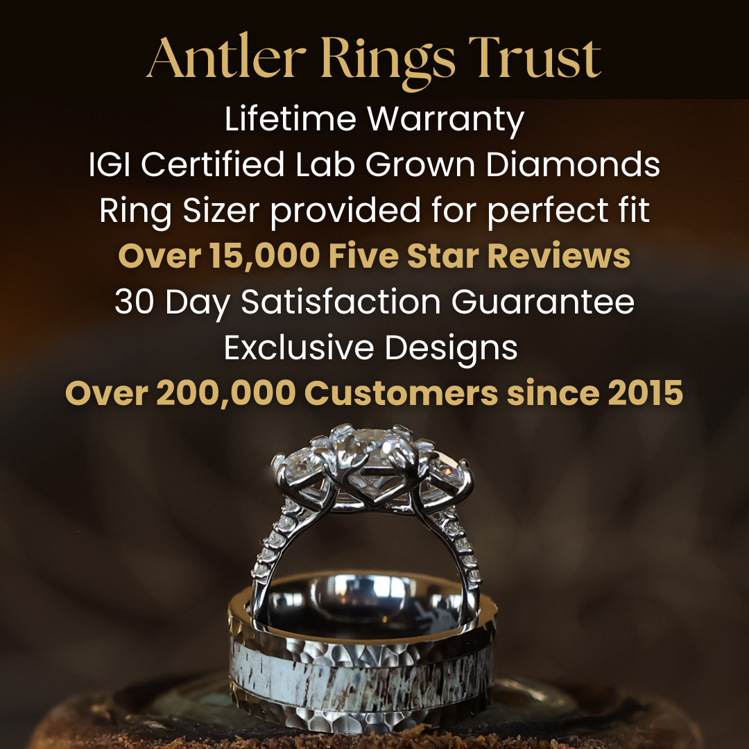 Diamond Grand Kenai Wishbone Wedding Set