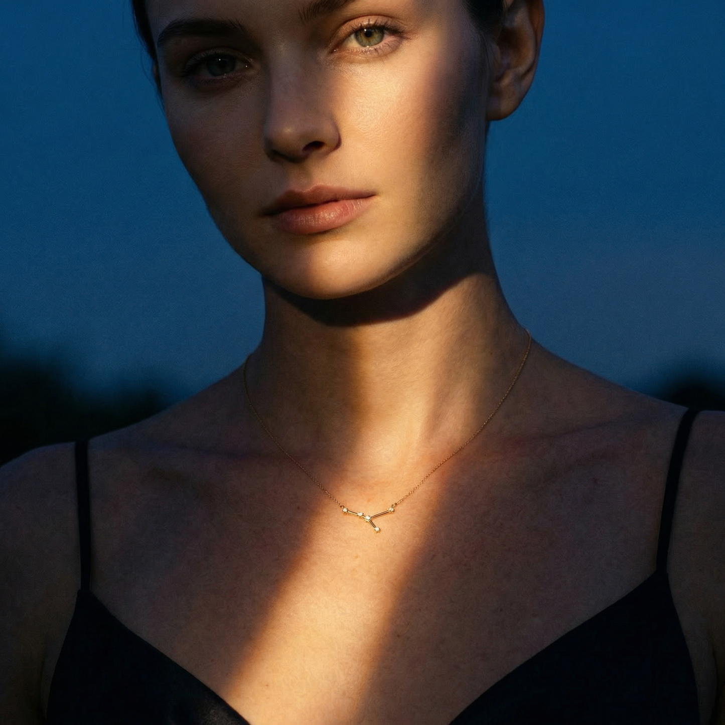 The Constellation Necklace | Cancer | Natural Diamond