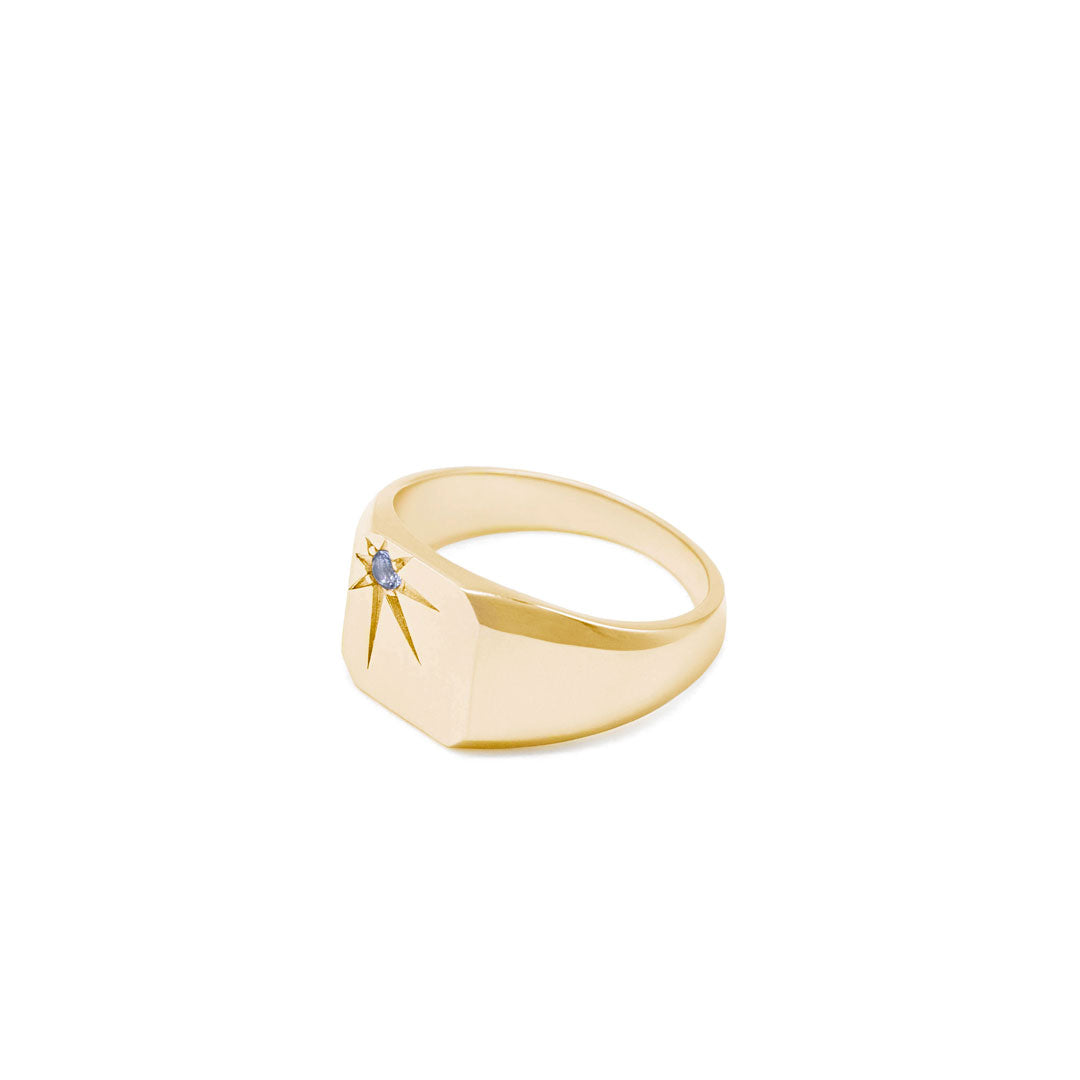 Gold Guardian Ring