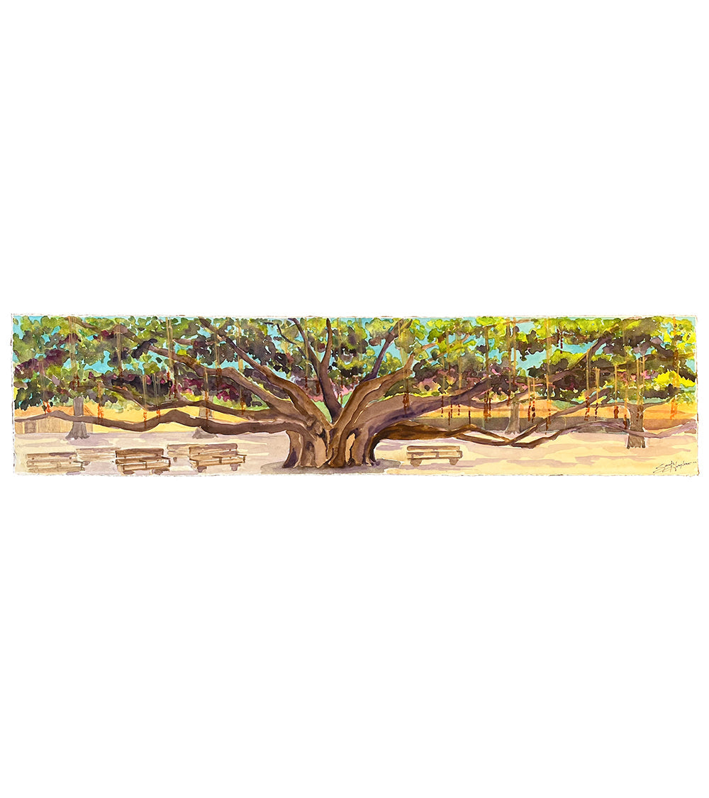 Spirit of Banyan Tree by Sarah Houglum
