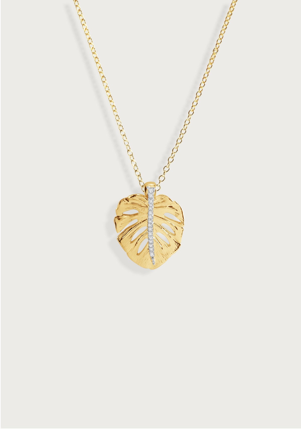 Monstera Palm Charm, Small