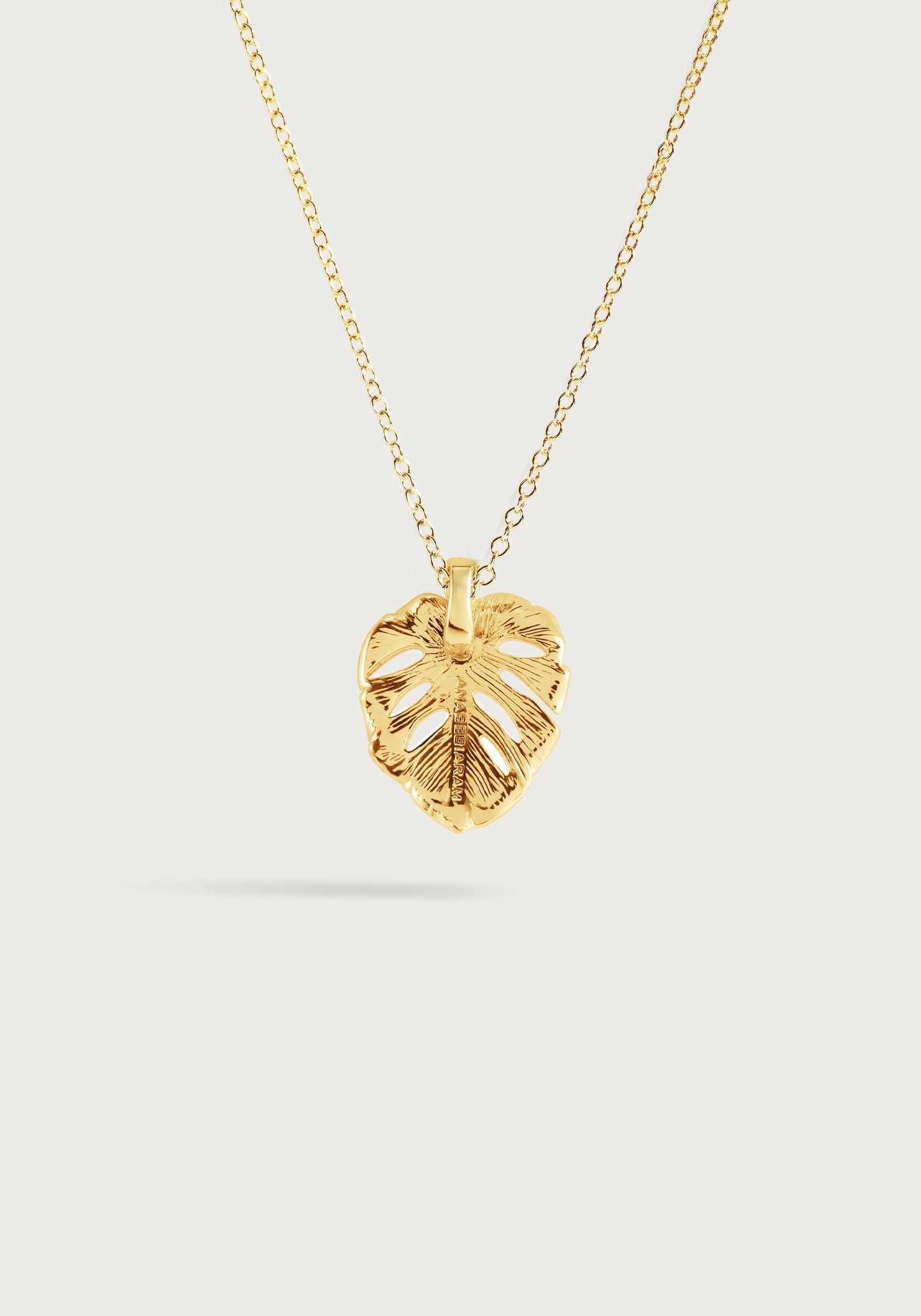 Monstera Palm Charm, Small