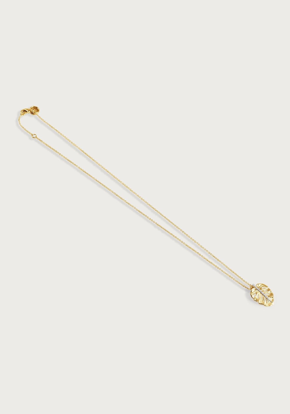 Monstera Palm Charm, Small