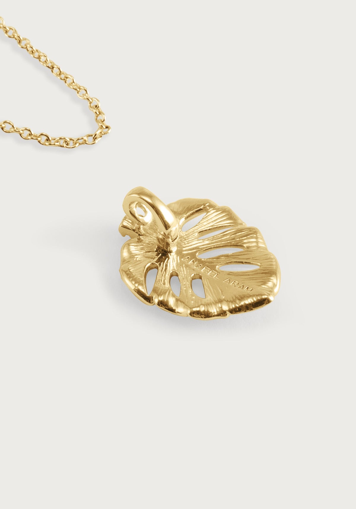 Monstera Palm Charm, Small