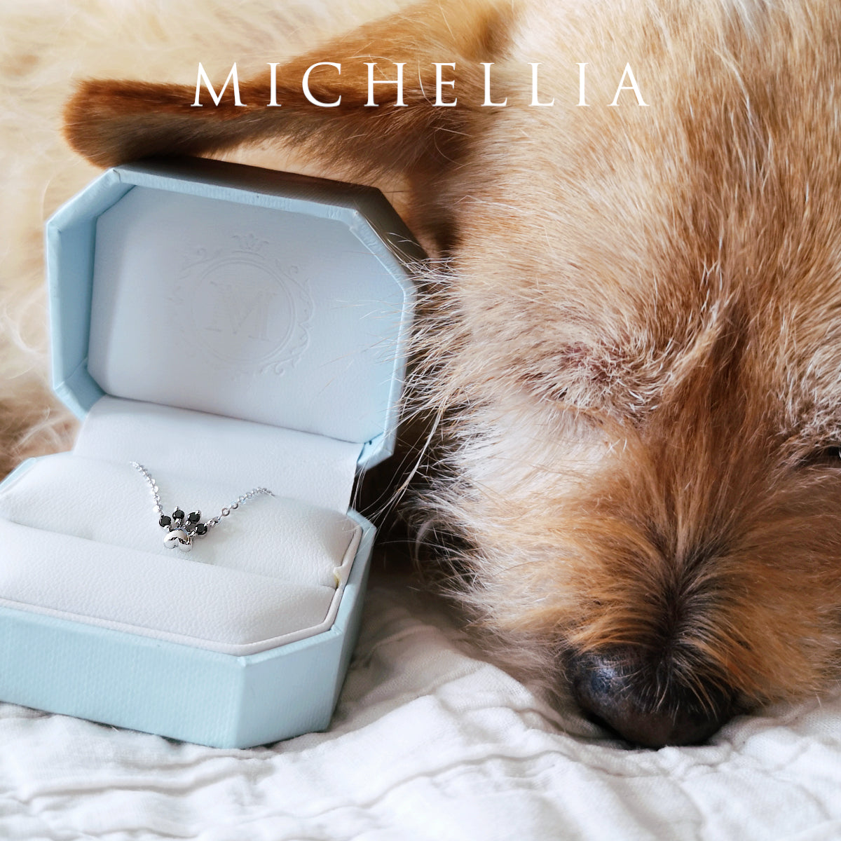 [Beans] Dog & Cat Paw Diamond Earrings
