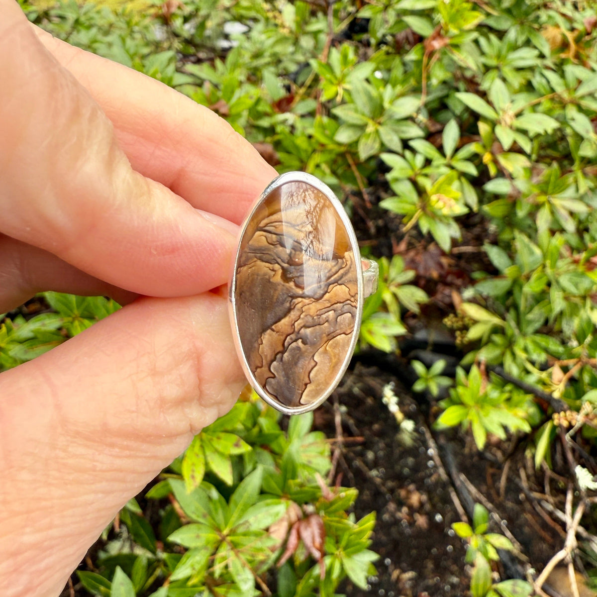 Oregon Biggs Picture Jasper Statement Ring Size 11.75 | PNW Gemstone | Handmade Sterling Silver