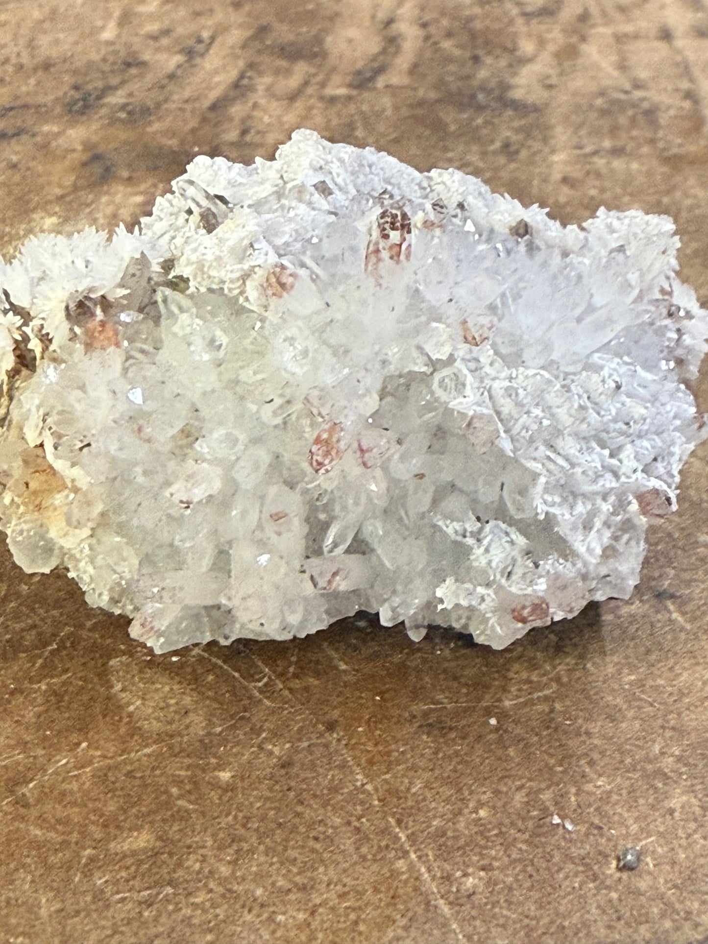 Clear Quartz Specimen (23)