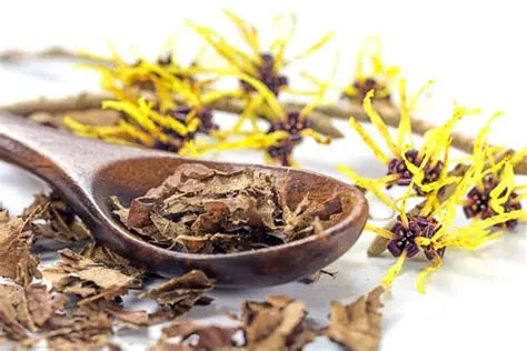 Witch Hazel