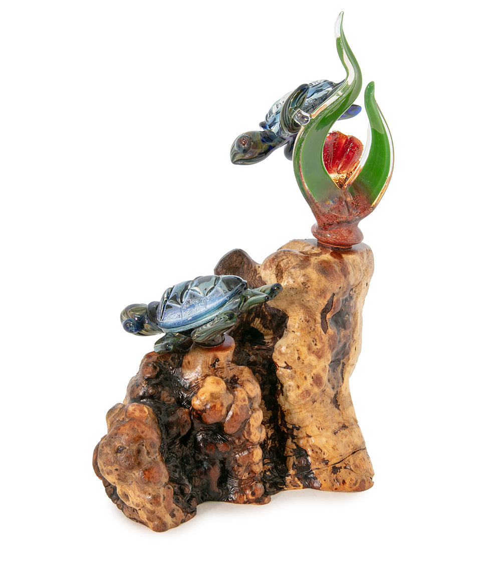 Glass and Wood "Coral with Two Turtles" by Luke Olsen