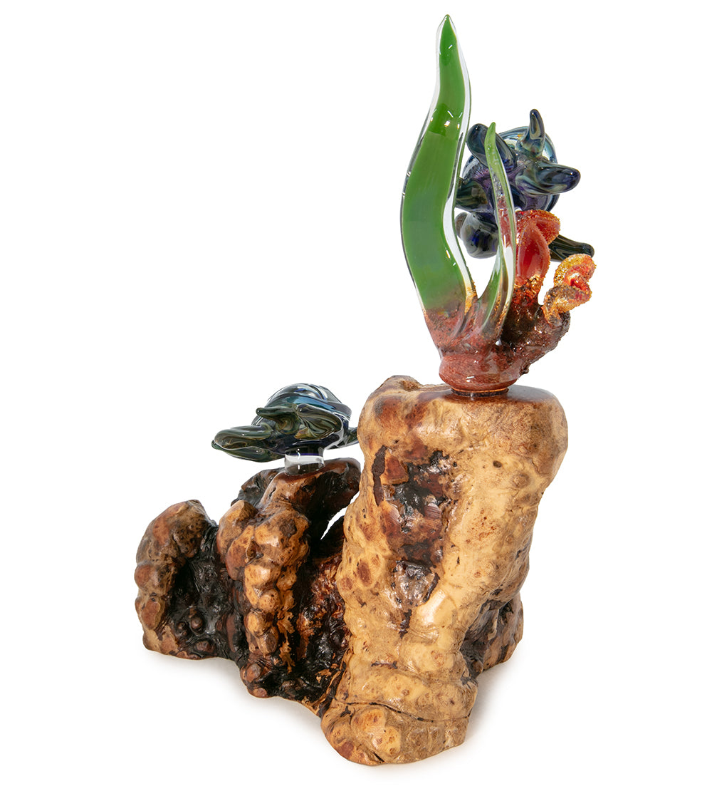 Glass and Wood "Coral with Two Turtles" by Luke Olsen