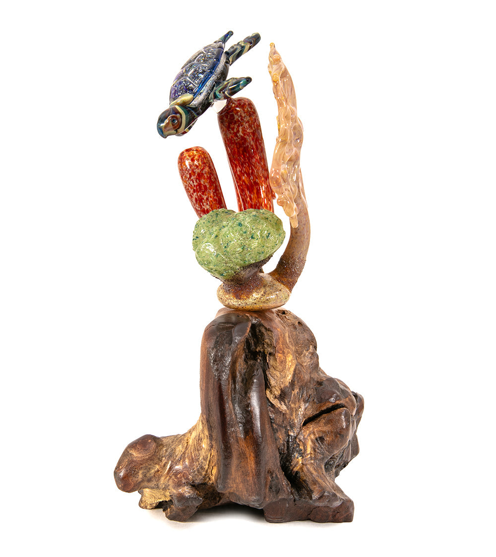 Glass "Coral Cluster with Honu" by Luke Olsen