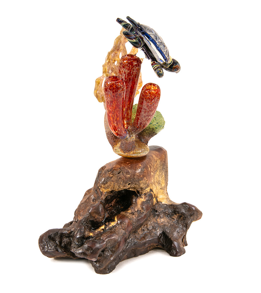 Glass "Coral Cluster with Honu" by Luke Olsen
