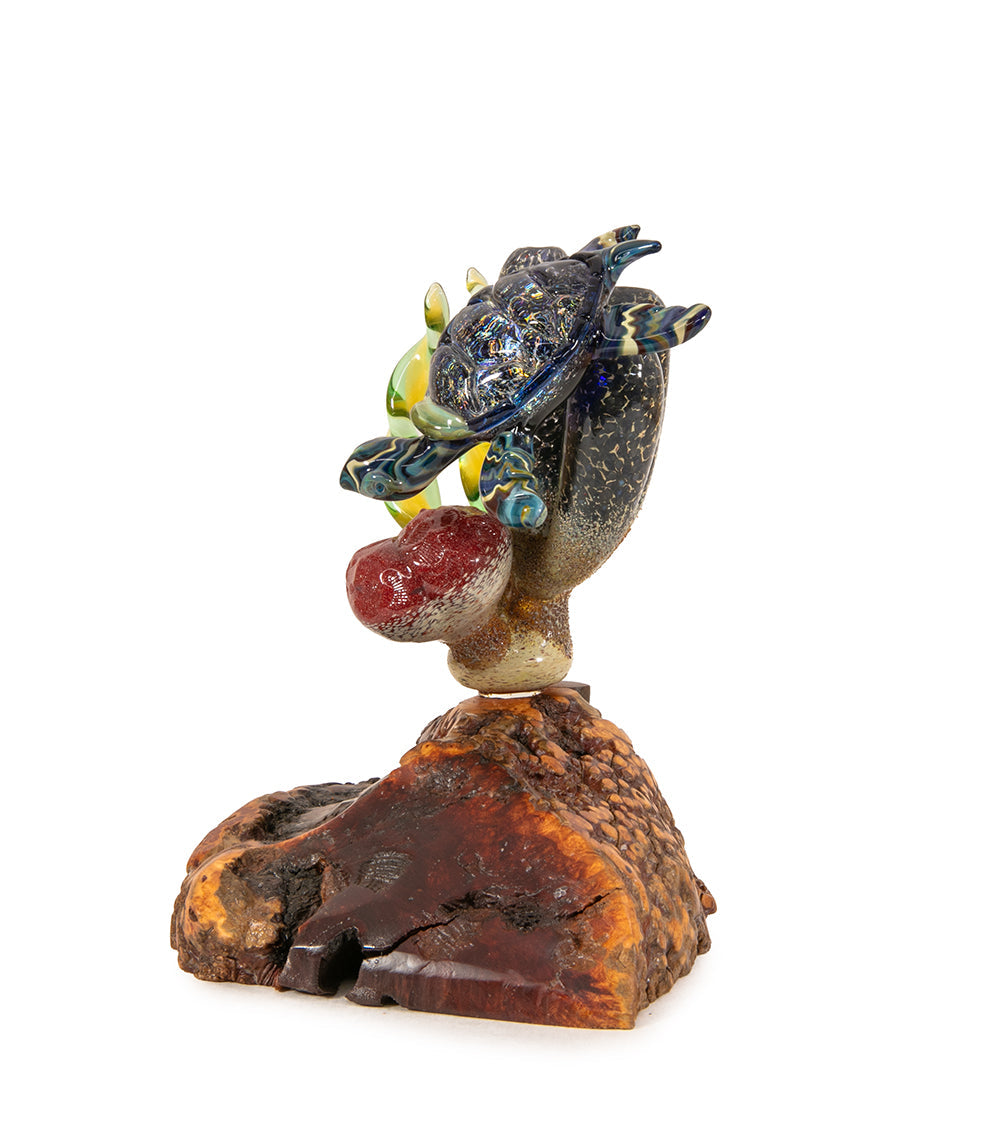 Glass "Coral Cluster with Honu" by Luke Olsen