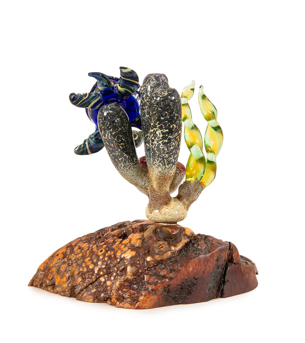 Glass "Coral Cluster with Honu" by Luke Olsen