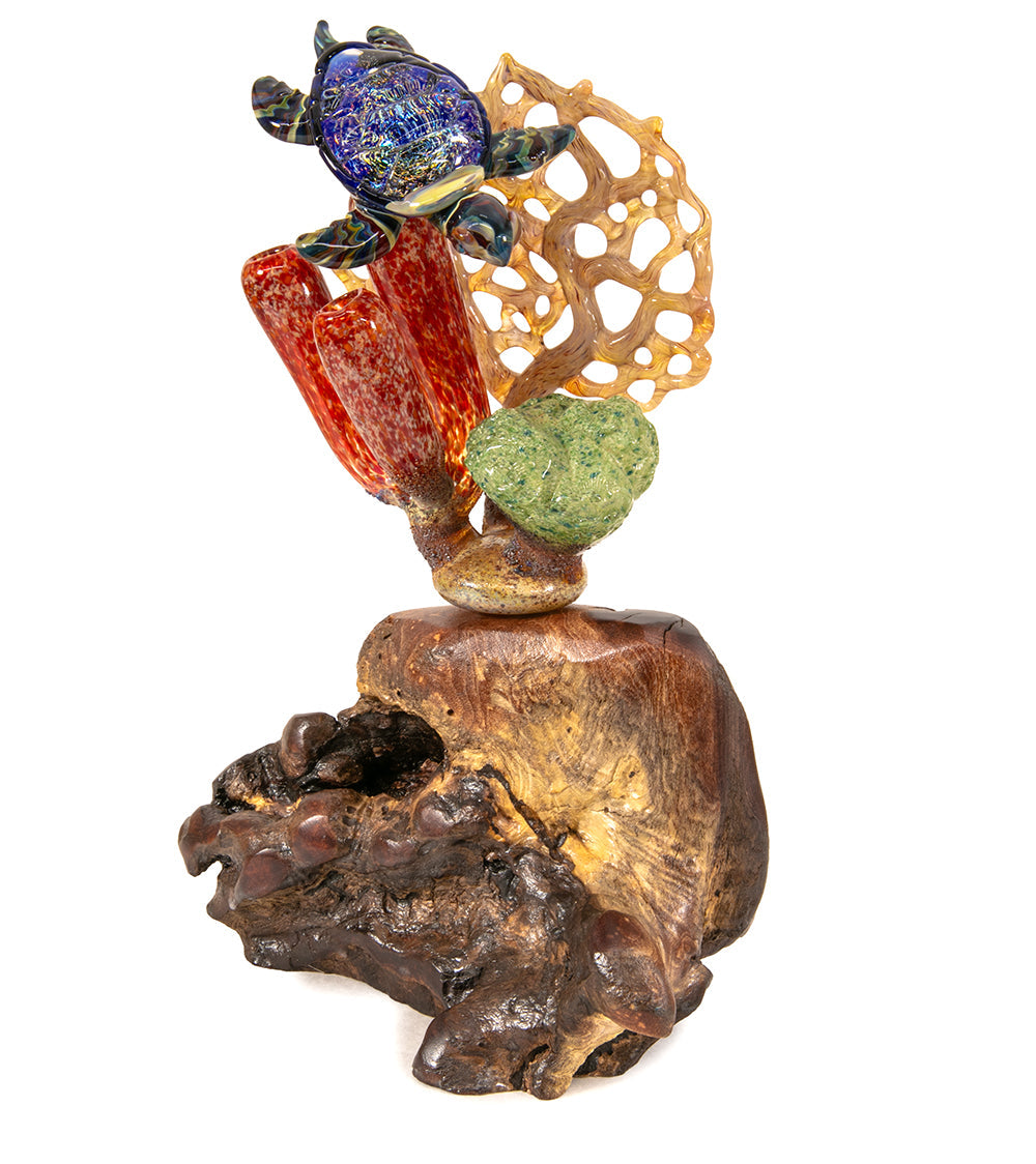 Glass "Coral Cluster with Honu" by Luke Olsen