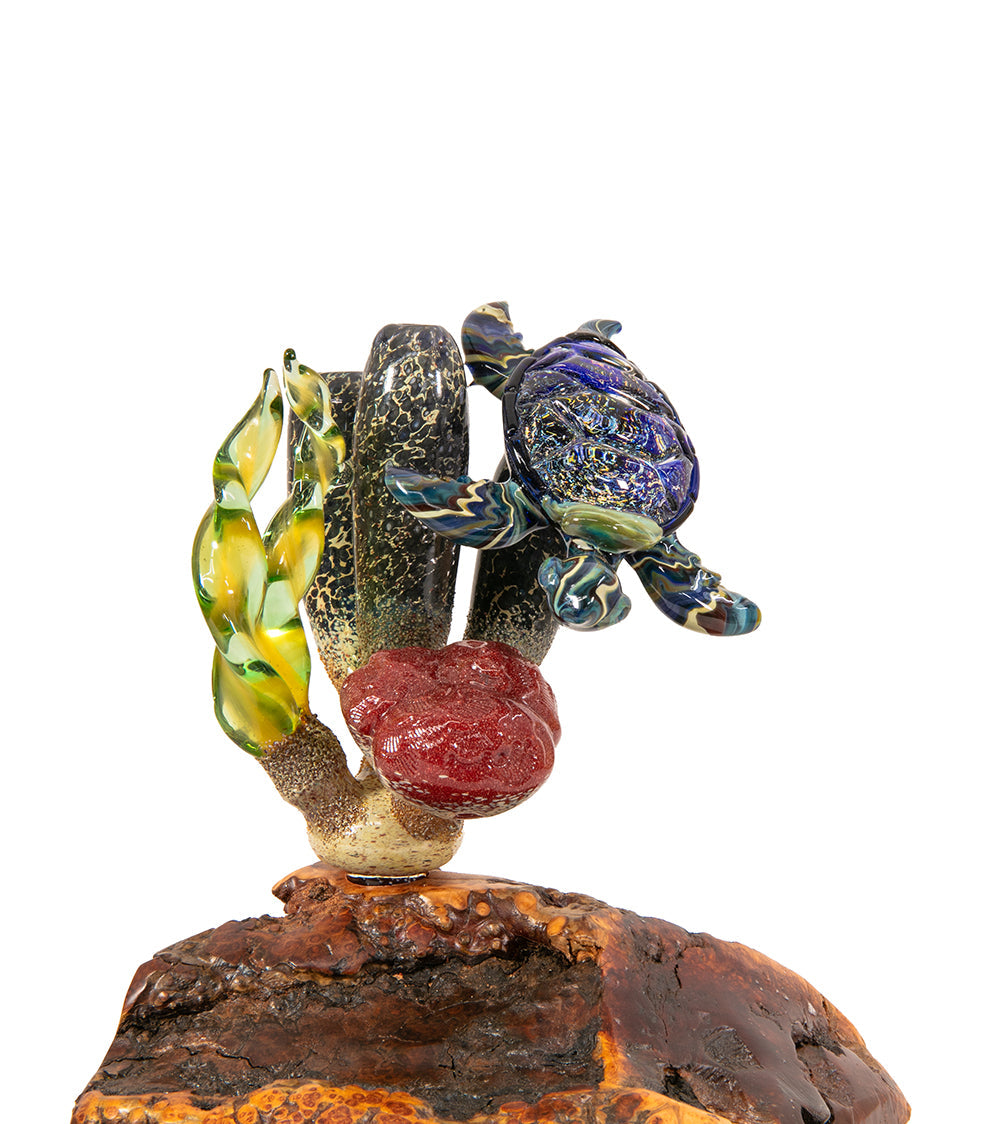 Glass "Coral Cluster with Honu" by Luke Olsen