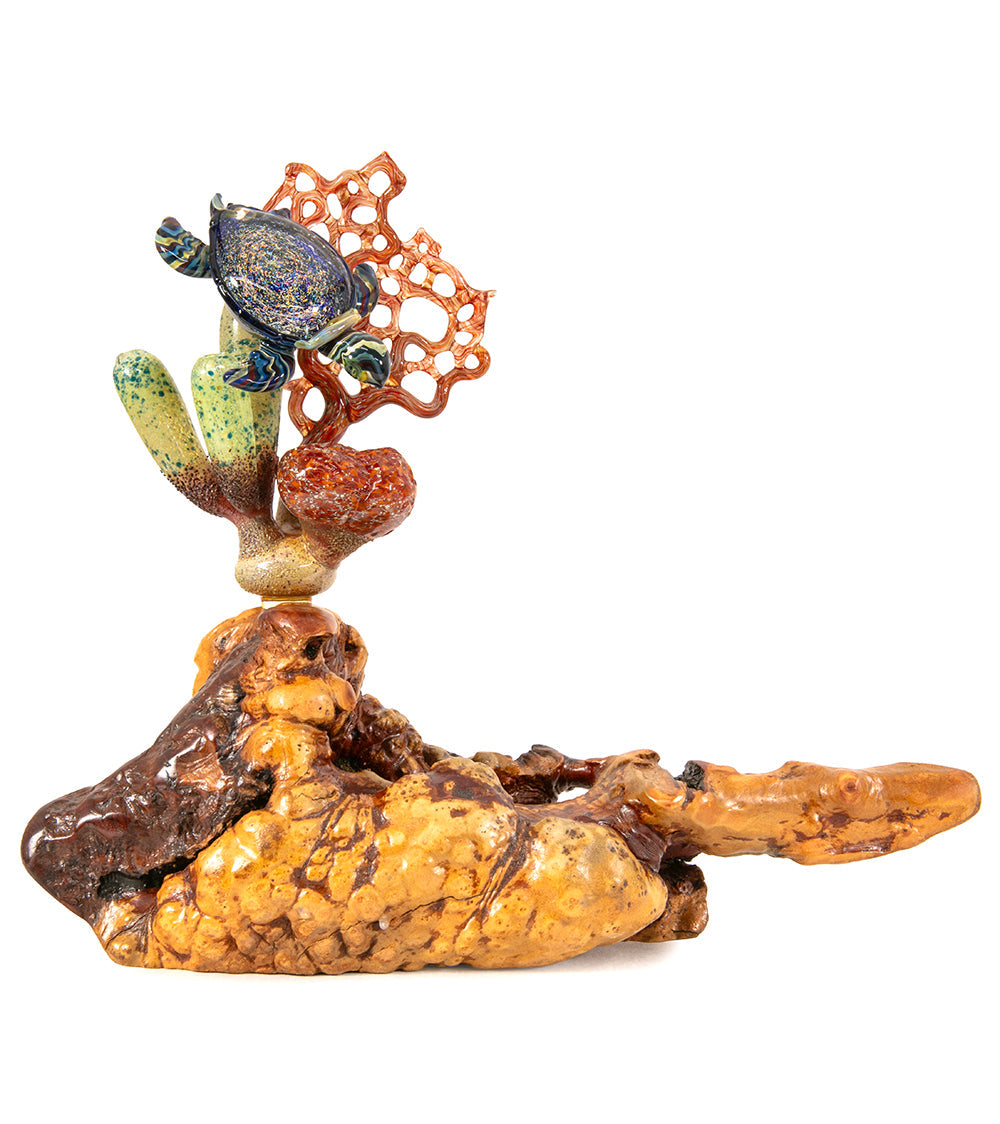 Glass "Coral Cluster with Honu" by Luke Olsen