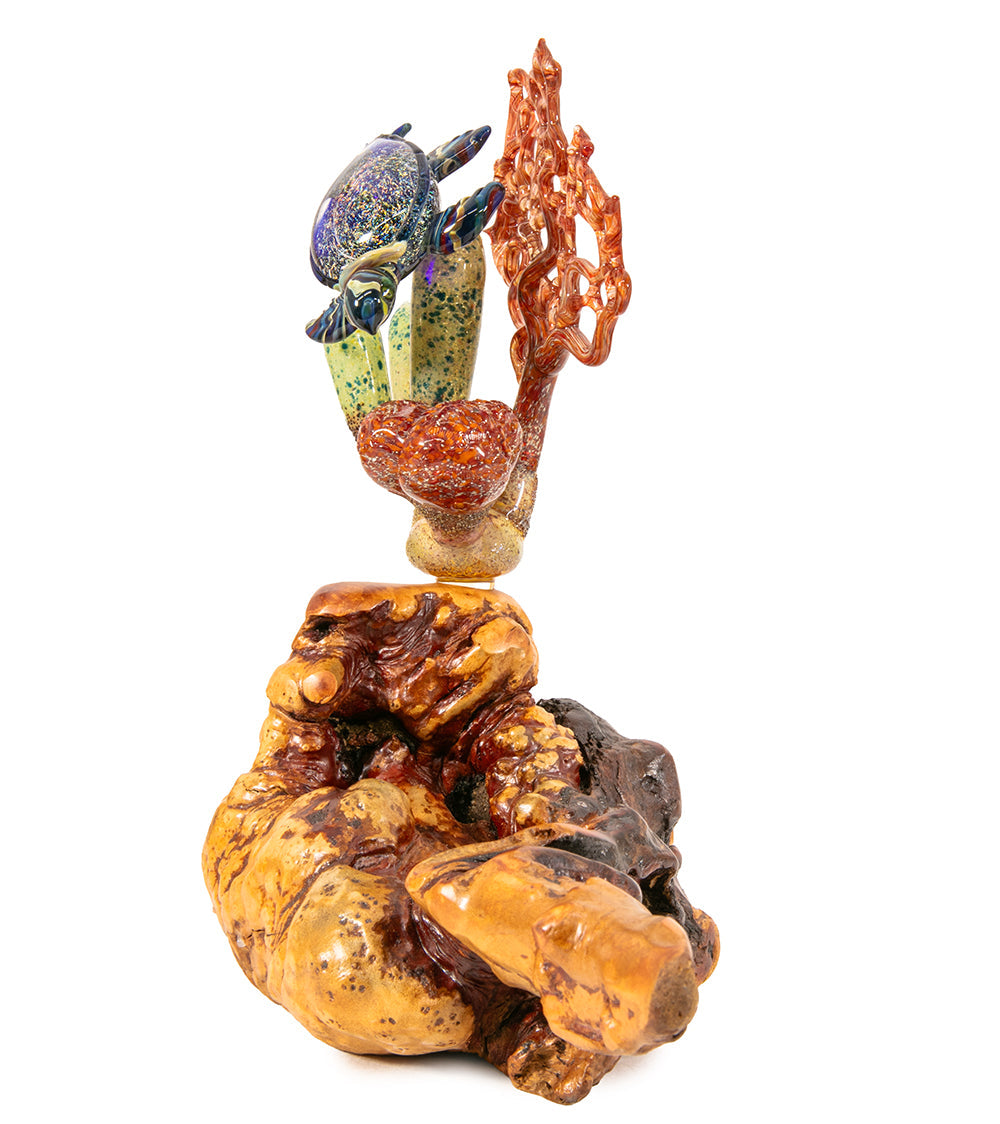Glass "Coral Cluster with Honu" by Luke Olsen