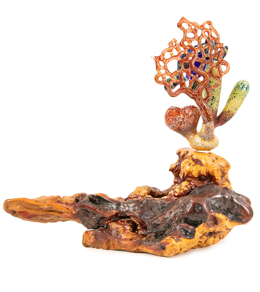 Glass "Coral Cluster with Honu" by Luke Olsen
