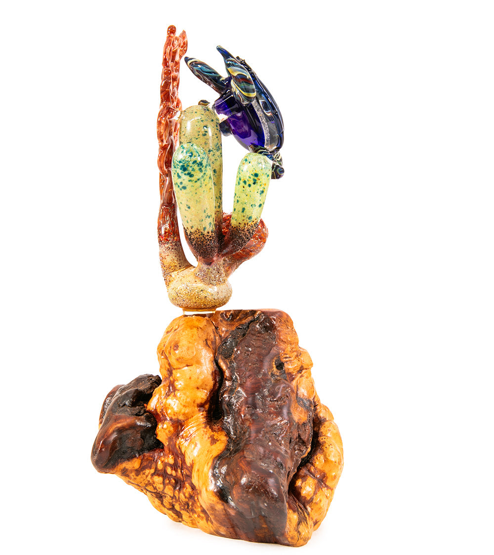 Glass "Coral Cluster with Honu" by Luke Olsen