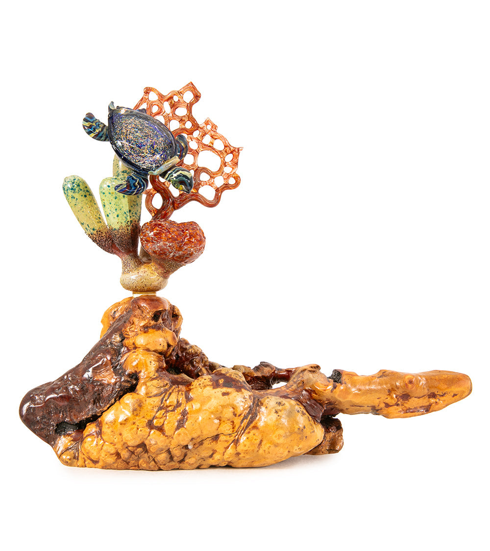 Glass "Coral Cluster with Honu" by Luke Olsen