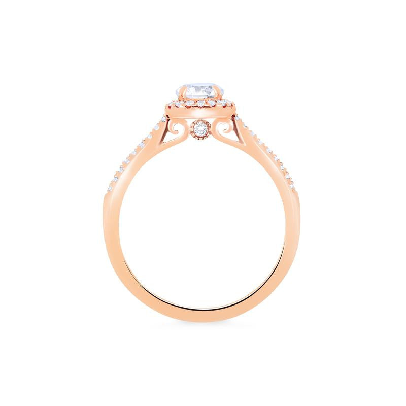 [Nova] Classic Halo Diamond Engagement Ring in Diamond / Moissanite