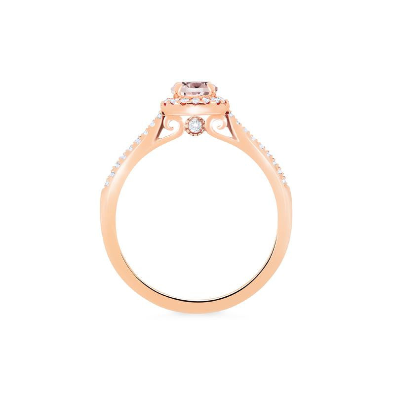 [Nova] Petite Halo Diamond Ring in Morganite
