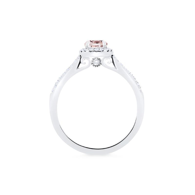 [Nova] Petite Halo Diamond Ring in Morganite