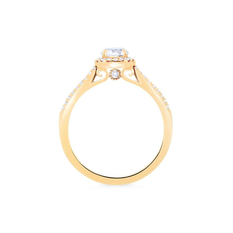 [Nova] Classic Halo Diamond Engagement Ring in Diamond / Moissanite