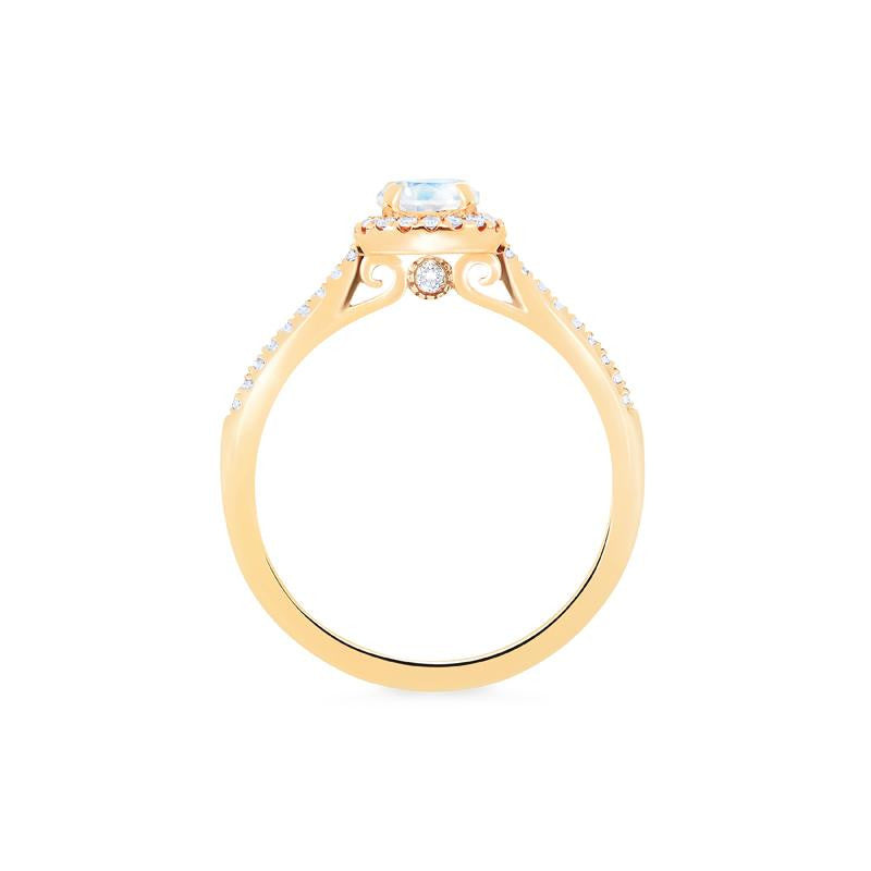 [Nova] Petite Halo Diamond Ring in Moonstone