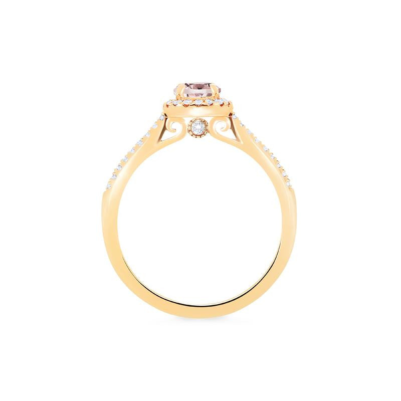 [Nova] Petite Halo Diamond Ring in Morganite