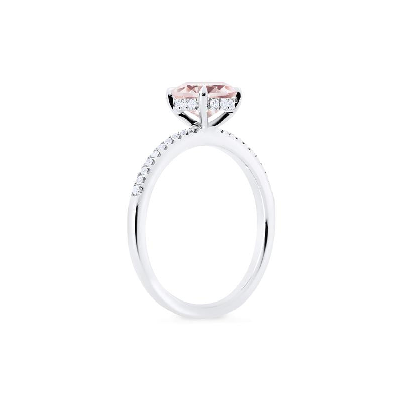 [Celia] Modern Classic Solitaire Ring in Morganite