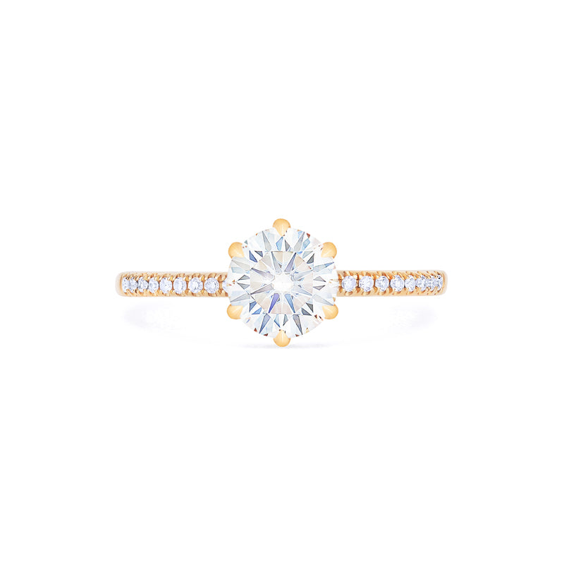 [Kate] Classic Pave Hidden Diamond 6-Prong Solitaire Engagement Ring in Diamond / Moissanite