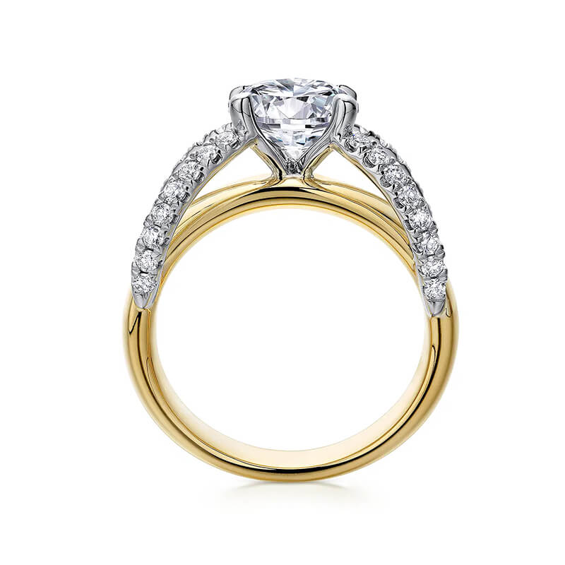 Round Moissanite Two Rows Pave Wide Band Engagement Ring