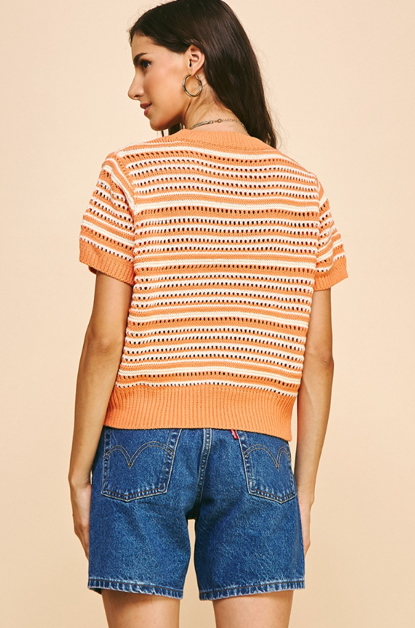 Ensley Eyelet Short Sleeve Sweater